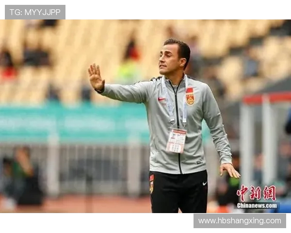 法比奥·卡纳瓦罗：从世界杯冠军到世界足坛传奇的荣耀历程