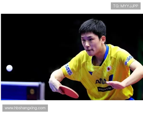 专访乒乓球名将杨磊揭秘他成功背后的训练与心路历程