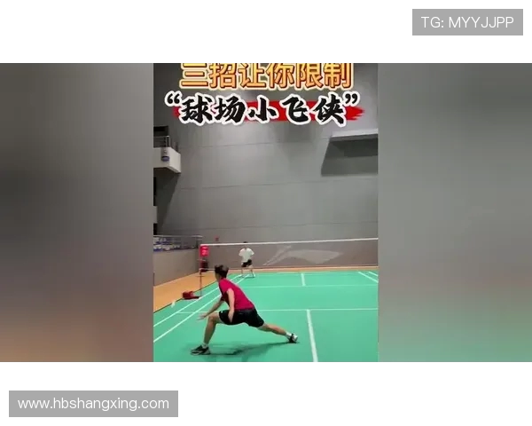 北京羽毛球队战术解析与对手战术的深度比较与启示