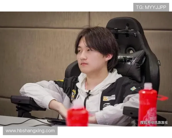 王者荣耀战队WE团队协作的策略与实践深度分析 王者荣耀战队WE团队协作的策略与实践深度分析