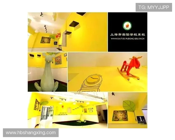 西安羽毛球队运营革新之路探索与实践分析 西安羽毛球队运营革新之路探索与实践分析