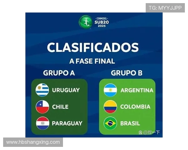 巴西与巴拉圭对决比分预测及精彩赛事分析分享 巴西与巴拉圭对决比分预测及精彩赛事分析分享